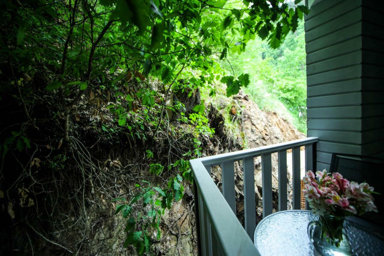 Borjomi Underwood Hotel Exterior photo