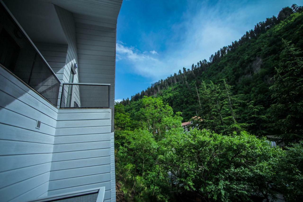 Borjomi Underwood Hotel Exterior photo